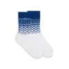 Beyond Destiny Gradient Socken