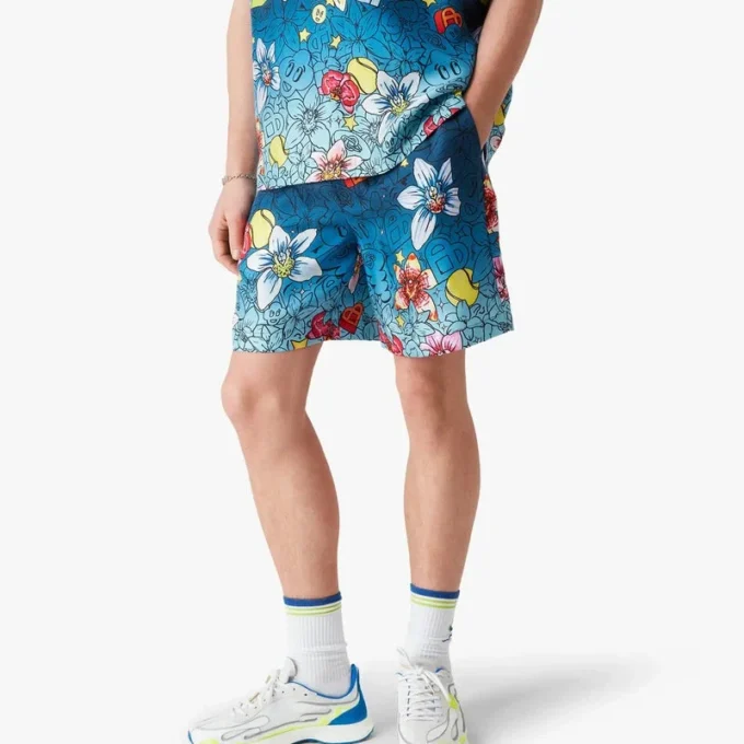 Collage D’icones Graphiques Seidenshorts