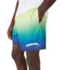 Gradient-Shorts Gradient-Shorts